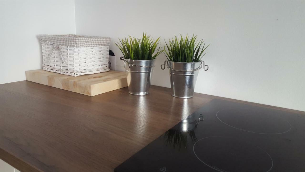 Roosi Apartment Pärnu Extérieur photo